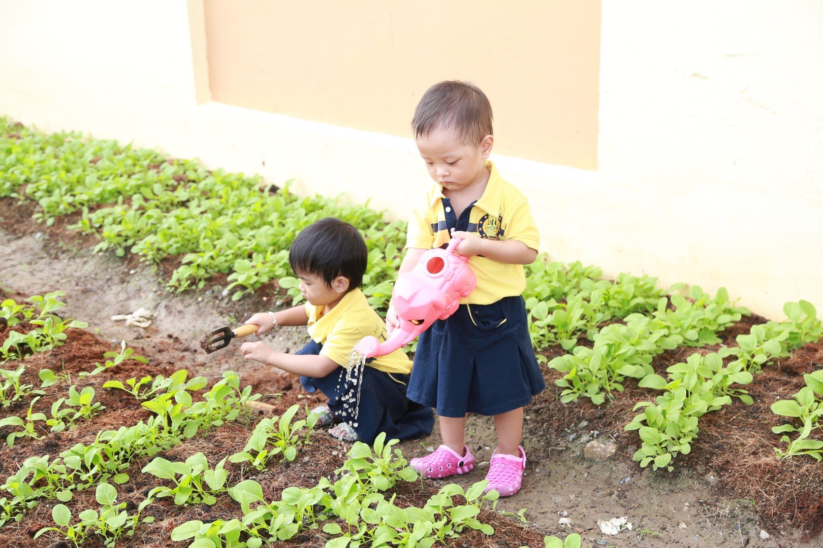 Tinh thần Nhật Bản
