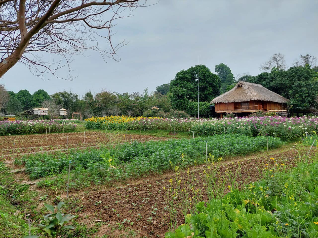 Eco Farm (2)