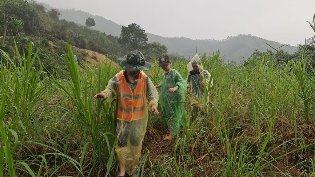 trai-he-2023-tai-hai-phong (16)