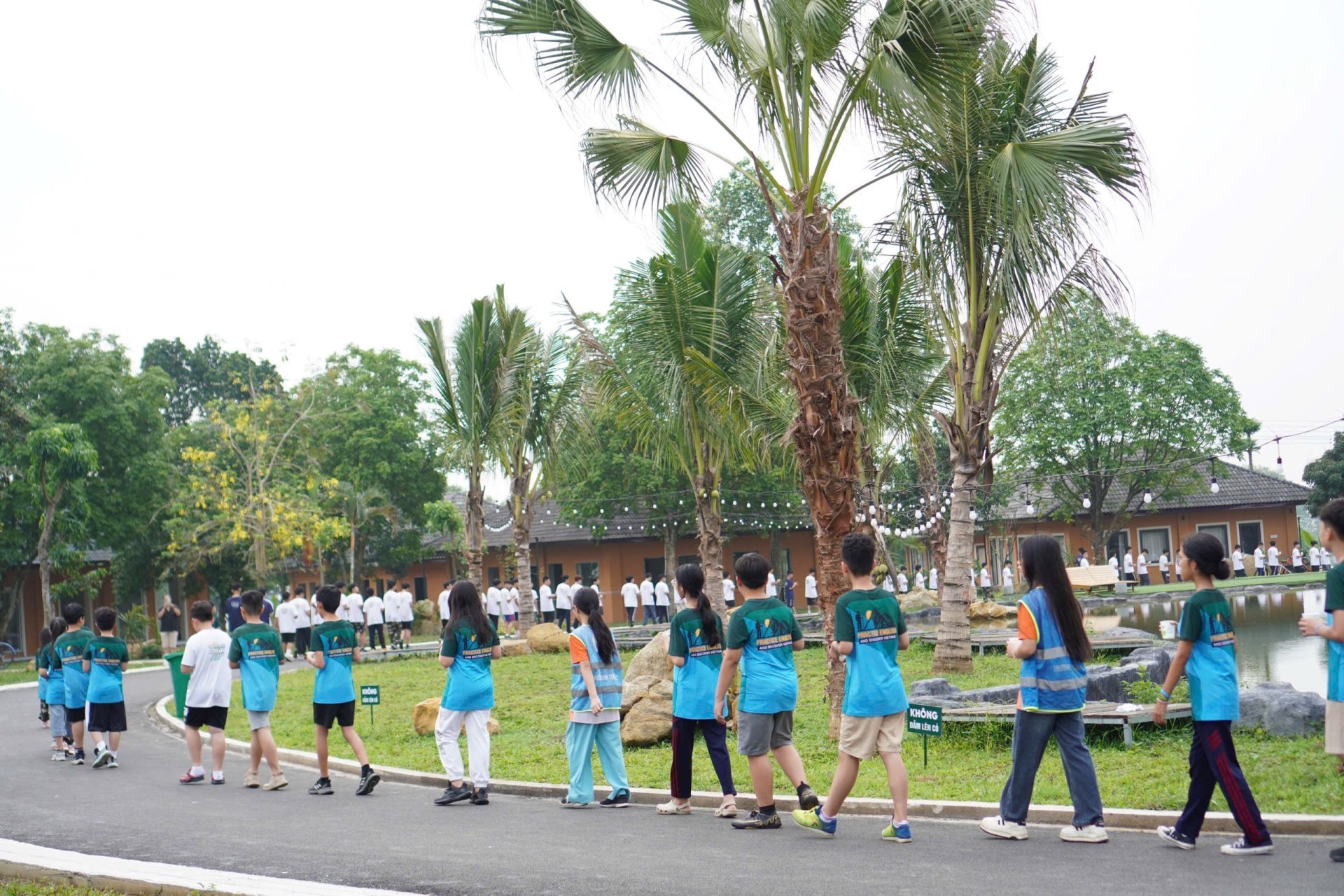 Creative Expression & Identity