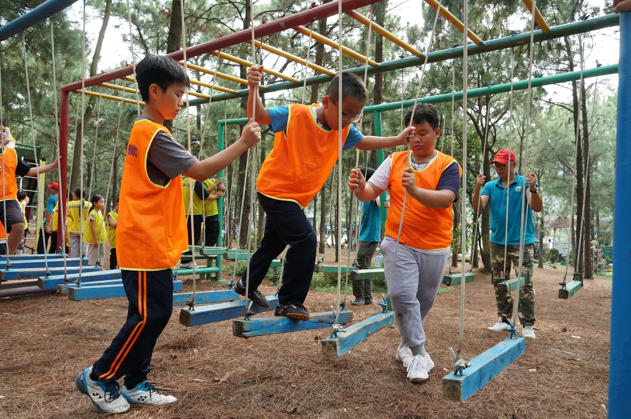 Hoạt động hè 9