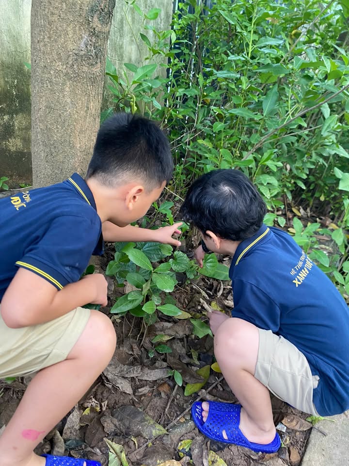 🌿 THÁNG VU LAN – GIEO HẠT BIẾT ƠN TỪ NHỮNG ĐIỀU NHỎ BÉ