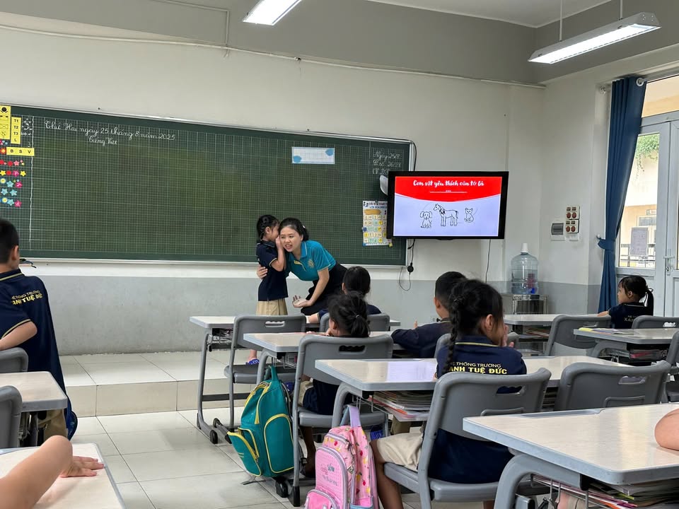 🌿GIÁO DỤC CẢM XÚC XÂY DỰNG CỘNG ĐỒNG LỚP HỌC HOÀ HỢP 🌈