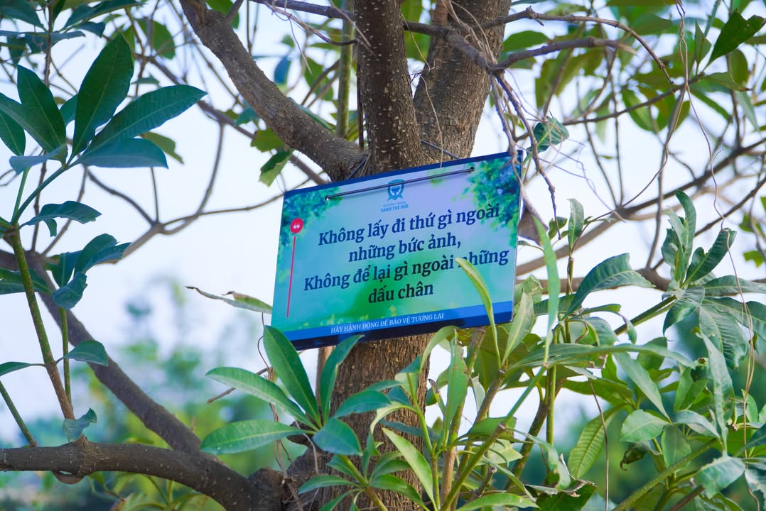 💚 🔓 HÔM NAY, CHÍNH THỨC MỞ LINK ĐĂNG KÝ CHO CỘNG ĐỒNG – TẾT TRƯỞNG THÀNH 2025–2026