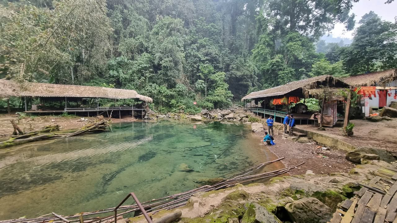 🎒🏕️ BẬT MÍ HÈ TRƯỞNG THÀNH 2026: DẤU CHÂN THẦY CÔ MỞ ĐƯỜNG CHO CHIẾN BINH XANH VƯỢT NGƯỠNG!