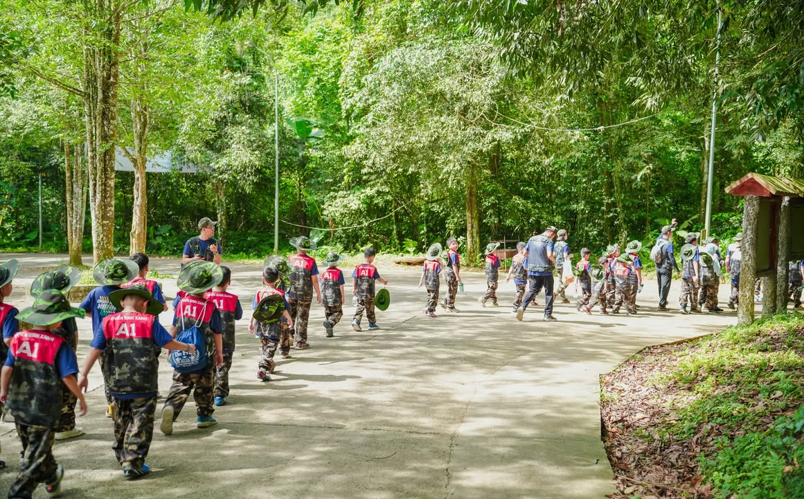 🌳 HỌC SINH TRẠI HÈ NỘI TRÚ XANH TUỆ ĐỨC BĂNG RỪNG KHÁM PHÁ CÚC PHƯƠNG HÙNG VĨ