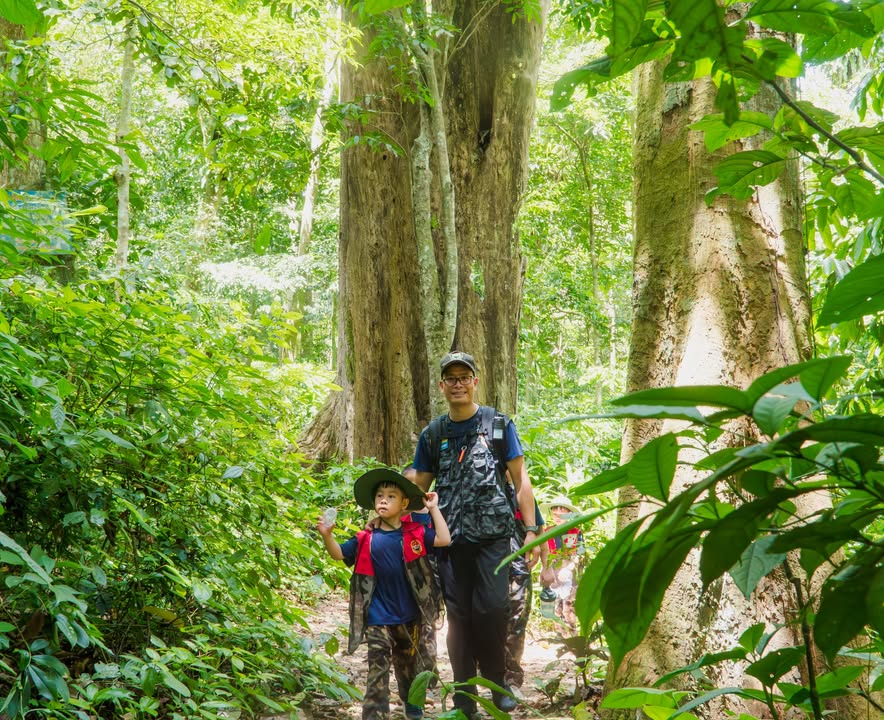 🌳 HỌC SINH TRẠI HÈ NỘI TRÚ XANH TUỆ ĐỨC BĂNG RỪNG KHÁM PHÁ CÚC PHƯƠNG HÙNG VĨ