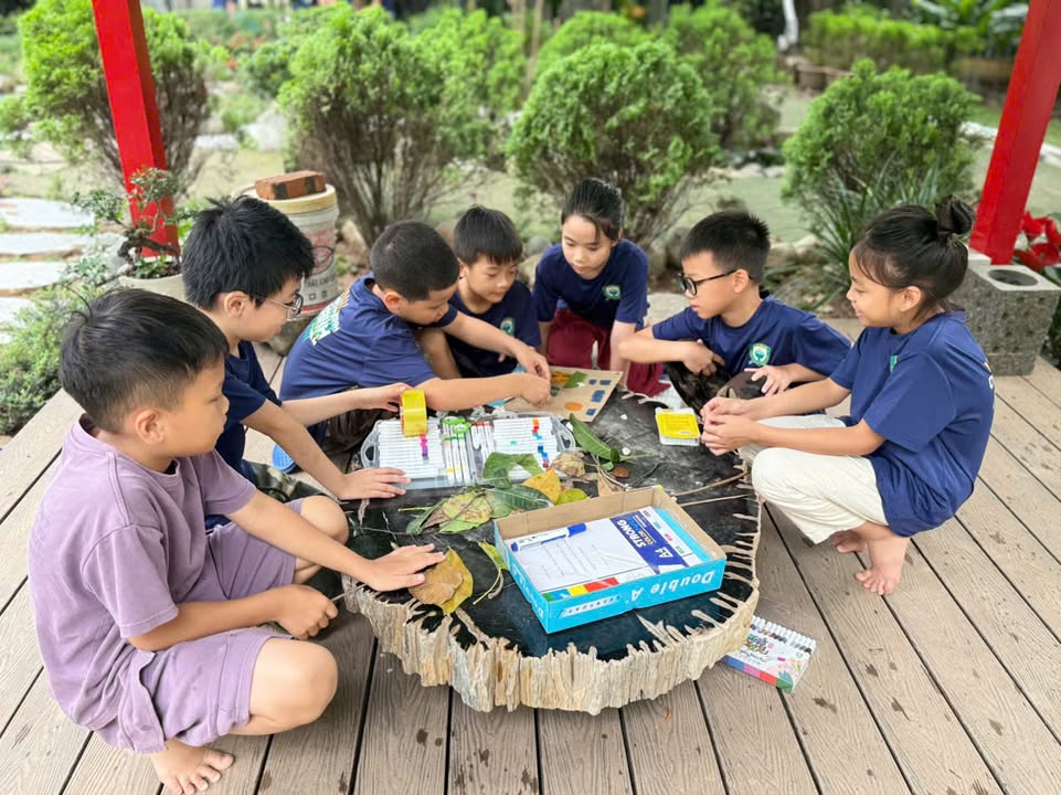 🌿 LỚP HỌC KHÔNG TƯỜNG – NƠI TOÁN HỌC NỞ HOA GIỮA THIÊN NHIÊN
